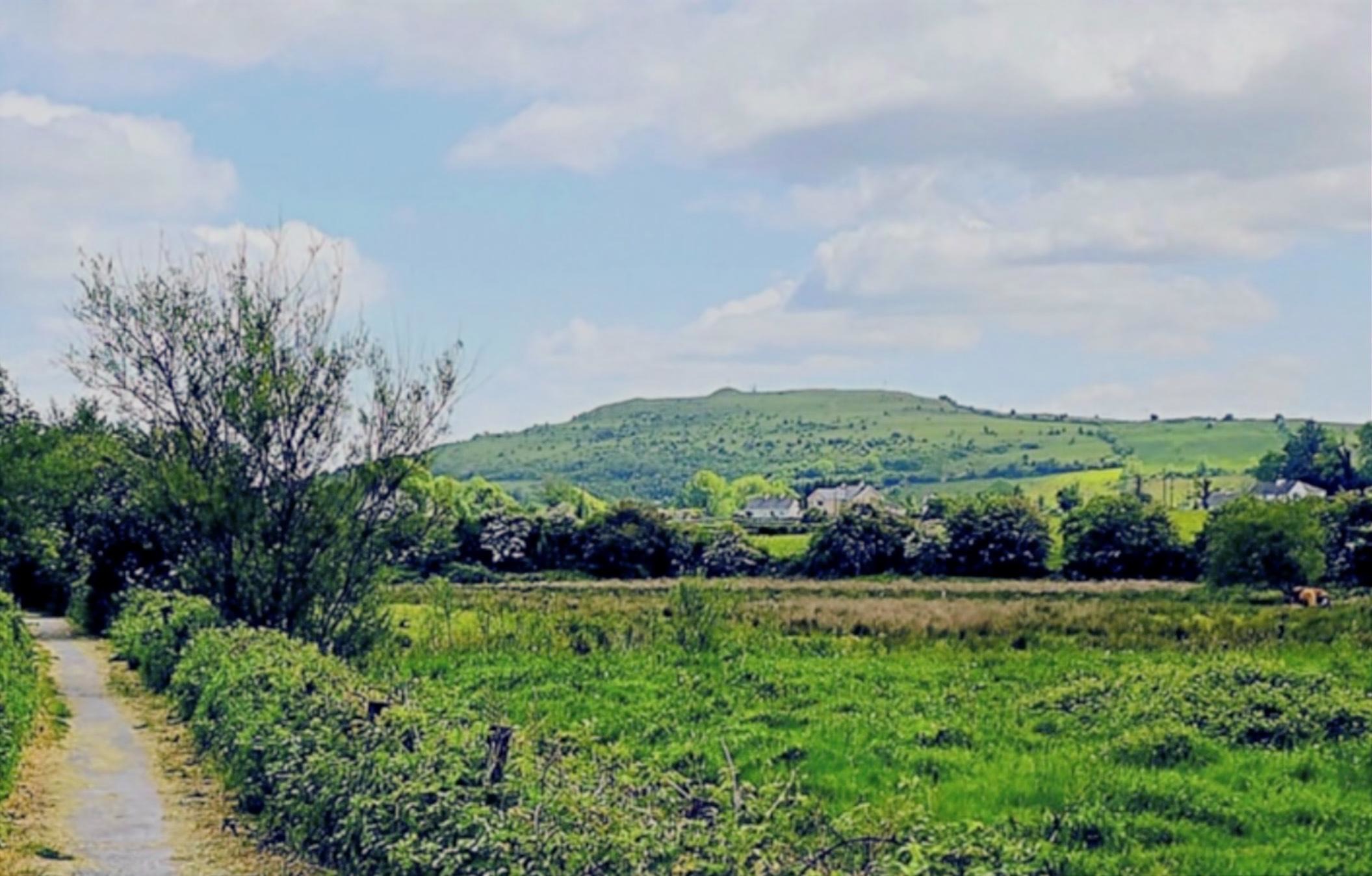 A lane and field with Sheemore Hill in the distance